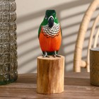 Сувенир дерево "Попугай" зелёный 22 см - фото 804737762