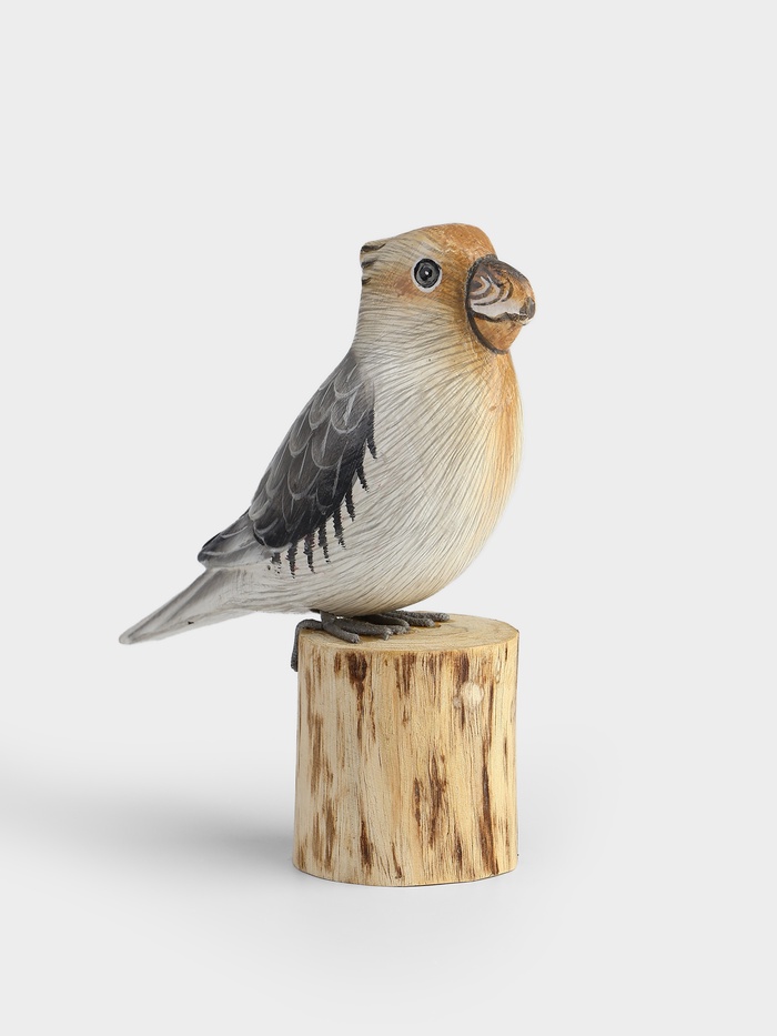 Сувенир «Попугай», 22 см, дерево, белый