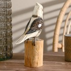 Сувенир дерево "Попугай" белый 22 см - фото 804737765