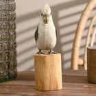 Сувенир дерево "Попугай" белый 22 см - фото 804737766