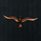 Сувенир дерево "Хищная птица" коричневая 60х20х5 см - фото 9581417