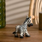 Сувенир «Маленькая зебра», 12×10×5 см, дерево - Фото 3