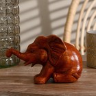 Сувенир «Слоник», 16×11×8 см, дерево - фото 57955666