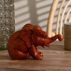 Сувенир «Слоник», 16×11×8 см, дерево - фото 57955668
