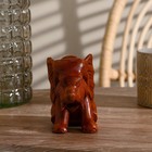 Сувенир «Слоник», 16×11×8 см, дерево - фото 57955669