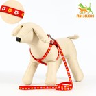 Шлейка с поводком «Цветы», ОГ 23-35 см, ширина 1 см, поводок 120 см, прошитая, красная - Фото 1