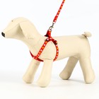 Шлейка с поводком «Цветы», ОГ 23-35 см, ширина 1 см, поводок 120 см, прошитая, красная - Фото 3