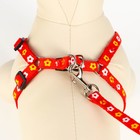 Шлейка с поводком «Цветы», ОГ 23-35 см, ширина 1 см, поводок 120 см, прошитая, красная - Фото 4