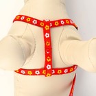 Шлейка с поводком «Цветы», ОГ 23-35 см, ширина 1 см, поводок 120 см, прошитая, красная - Фото 5