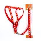 Шлейка с поводком «Цветы», ОГ 23-35 см, ширина 1 см, поводок 120 см, прошитая, красная - Фото 7