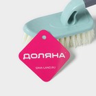 Щётка для уборки Доляна «Универсал», 22×5×8 см - фото 806167550