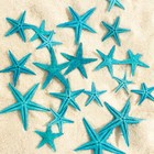 Набор натуральных морских звезд, 1,5 - 2,5 см, 20 шт, синий - Фото 2