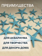 Набор натуральных морских звезд, 1.5 - 2.5 см, 20 шт., синий - Фото 3
