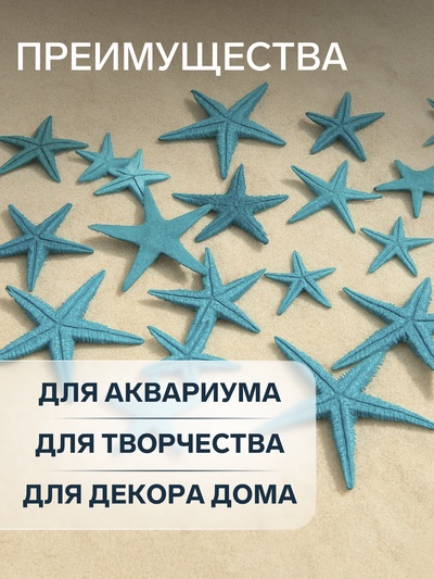 Набор натуральных морских звезд, 1.5 - 2.5 см, 20 шт., синий