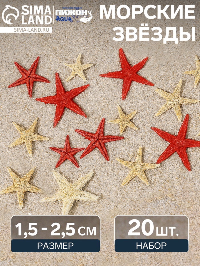Набор натуральных морских звезд, 1.5 - 2.5 см, 20 шт., красные - белые - Фото 1