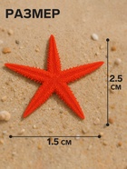 Набор натуральных морских звезд, 1.5 - 2.5 см, 20 шт., красные - белые - Фото 2