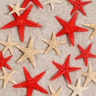 Набор натуральных морских звезд, 1.5 - 2.5 см, 20 шт., красные - белые - Фото 5