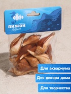 Набор ракушек, 3 - 5 см, 100 г - Фото 3