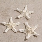 Набор из 3 морских звезд, размер каждой 5-10 см, белые - Фото 1