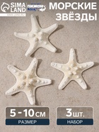 Набор из 3 морских звезд, размер каждой 5-10 см, белые - Фото 1