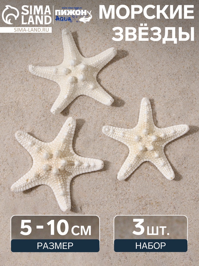 Набор из 3 морских звезд, размер каждой 5-10 см, белые - Фото 1