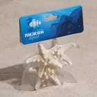 Набор из 3 морских звезд, размер каждой 5-10 см, белые - Фото 8