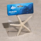 Морская звезда декоративная, 10-16 см - фото 7072816