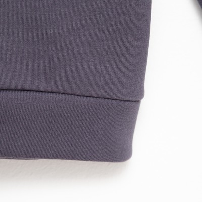 Костюм для мальчика (худи, брюки) MINAKU: Basic Line KIDS, серый, рост 104 см