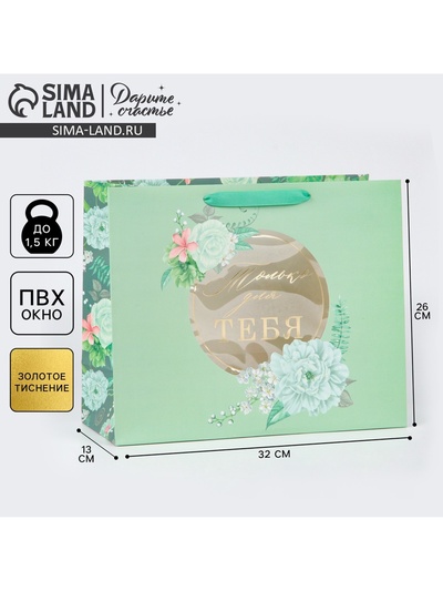 Пакет подарочный ламинированный с пластиковым окном, упаковка, «Тебе», 32.5×26.5×13.5 см