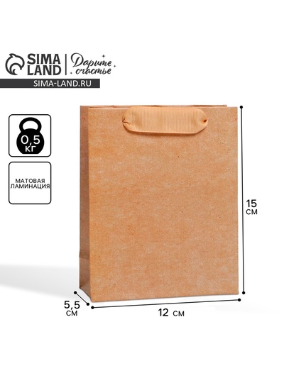 Пакет подарочный ламинированный, упаковка, «Крафтовый», S 12×15×5.5 см