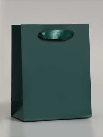 Пакет подарочный ламинированный, упаковка, «Изумрудный», S 12×15×5.5 см