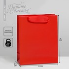 Пакет подарочный ламинированный, упаковка, «Красный», S 12 х 15 х 5.5 см - фото 318785498
