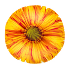 Мягкая подушка-антистресс "Цветы", цвет оранжевый - Фото 1