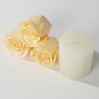 Подарочный набор косметики «Лучшей на свете», мыло лепестковое 12 шт и свеча 1 шт, ЧИСТОЕ СЧАСТЬЕ - фото 24468879