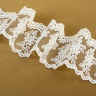 Кружево на сетке, 55 мм × 9 ± 0.5 м, цвет белый - Фото 2