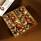 Шоколадные конфеты «Дары моря» с начинкой пралине, 250 г - Фото 2