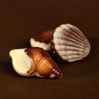 Шоколадные конфеты «Дары моря» с начинкой пралине, 250 г - Фото 3