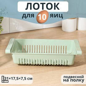 Контейнер для хранения яиц, 10 ячеек, 31×17,5×7,5 см, цвет МИКС 7370955