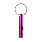 Свисток металлический малый для собак, 4,6 х 0,8 см, фиолетовый - фото 7780542