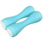 Гантель пластиковая ONLYTOP, 2 шт., 2 кг, цвет синий - Фото 2