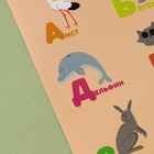 Детские развивающие наклейки «Алфавит», 24 × 37 см - Фото 2