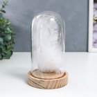 Сувенир полистоун "Белый лебедь" светящаяся колба 15,5х9,5х9,5 см - фото 21498164