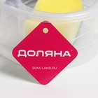 Дозатор для моющего средства с подставкой для губки Доляна, губка в комплекте, 600 мл, 17×15,5×14 см - Фото 4