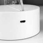 Светильник сенсорный «Дракон» LED 7 USB/от батареек белый 13×9.5×15.5 см RISALUX 7411443 - фото 11630697