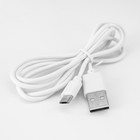 Светильник сенсорный «Дракон» LED 7 USB/от батареек белый 13×9.5×15.5 см RISALUX 7411443 - фото 11630698