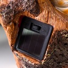 Сувенир полистоун свет "Маленький филин в дупле" от солнечной батареи 17х12,5х18 см - Фото 6