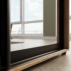 Шкаф-купе «Сим З», 1500×600×2300 мм, ЛДСП/зеркало, с ящиками, цвет дуб крафт золотой - Фото 4