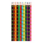 Карандаши 12 цветов пластиковые, deVENTE Avocado, трёхгранные, 2М, 3 мм, тонированные в чёрный - фото 24475939