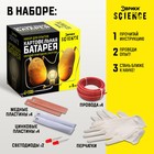 Набор для опытов «Картофельная батарейка» - фото 6549401