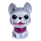 Игрушка-сюрприз «Чудо-питомец» в стакане - Фото 5